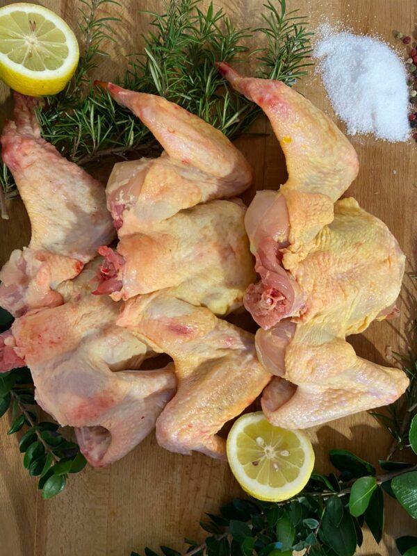 Alette Pollo Campese